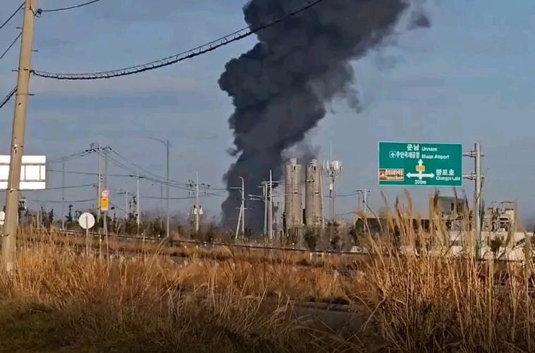澳门码今晚开什么特号和干部驾车致男童死亡与干部开车撞人怎么处理