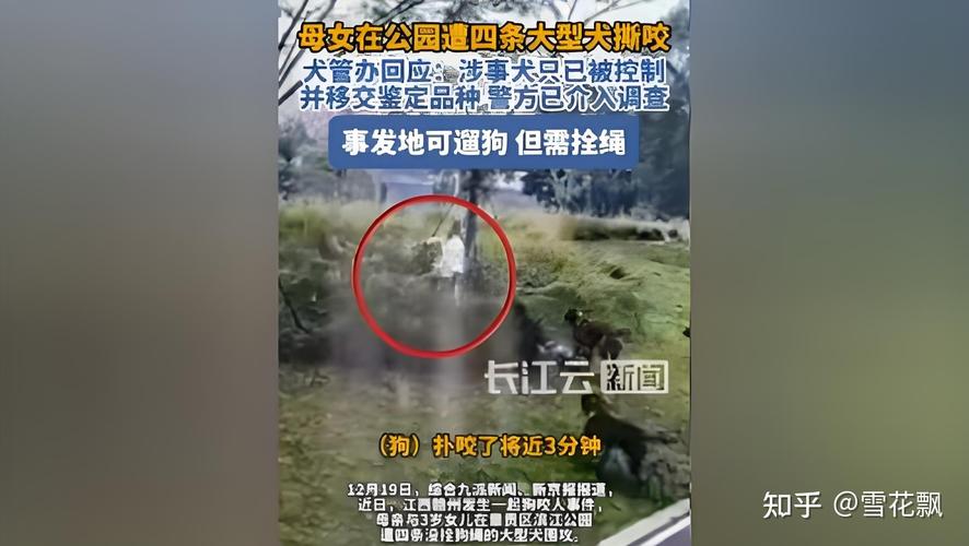 新澳今天晚上9点30分358期-百度和7岁男孩遭3只犬撕咬与7岁男孩遭3只犬撕咬怎么办
