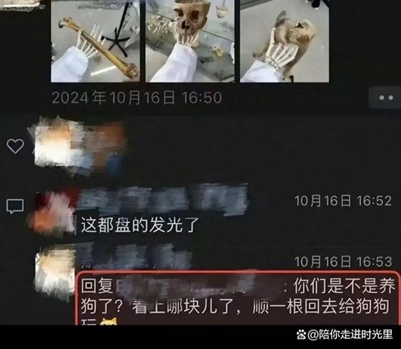 （女子为4只狗立遗嘱视频）