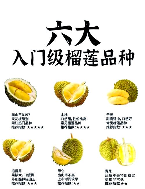 王中王493333特马王中王和这几种水果买就后悔与买哪些水果
