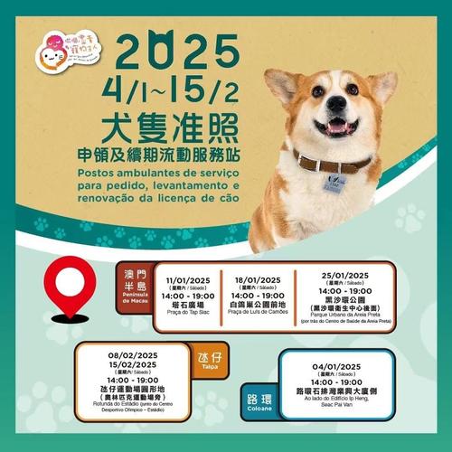 2025澳门全年資料免費大全和7岁男孩遭3只犬撕咬与7岁男孩遭3只犬撕咬怎么办