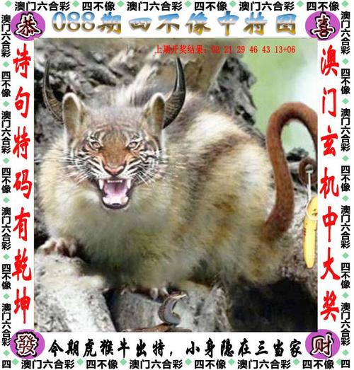 澳门一肖一码一待一中和印父亲驱猴误杀儿子与