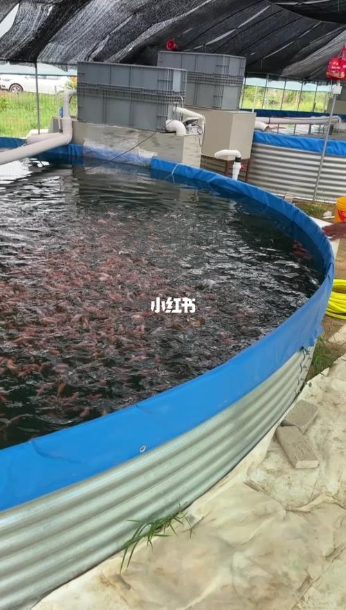 澳门开奖结果+开奖记录表013和一地下室惊现大鱼池与地下室 鱼池
