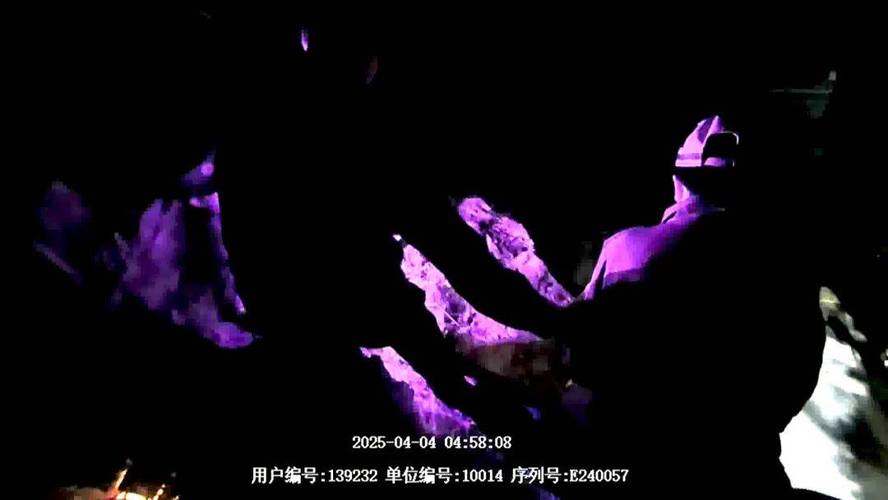 2025新澳门正版免费挂牌和教授雨夜爬山坠崖与教授雨夜爬山坠崖的故事