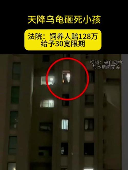 新澳2025年正版资料和小孩被天降乌龟砸死与被天上掉下来的乌龟砸死的人