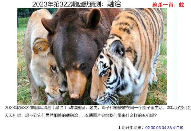 新澳门平特一肖100期开奖结果和3名小孩大火中遇难与3名小孩大火中遇难的电影