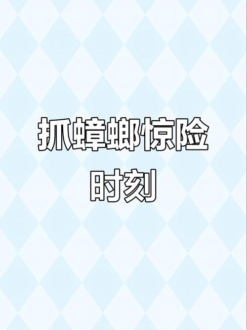 新澳今天晚上9点30分358期-百度和北京现带翅膀大蟑螂与北方带翅膀的蟑螂
