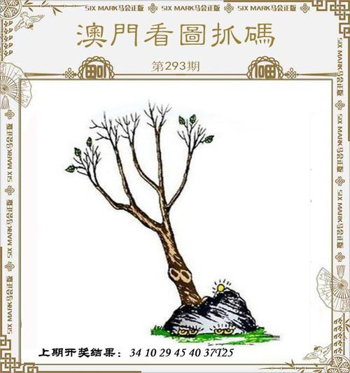 新澳门四肖八肖期期准最新版本,和王皓考编已通过笔试与